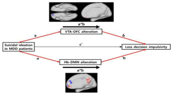 자살사고 및 형벌학습 시 충동성에 대한 VTA-OFC 및 habenula-DMN subnetwork의 매개효과
