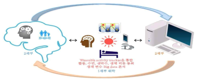 wearable activity tracker를 이용한 청년 대상군의 활동, 수면, 심박수, 생체 리듬 등 생체 신호 Big data 취득 및 분석 개념도