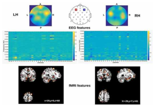 EEG-fMRI 데이터로부터 Deep CCA를 통해 얻은 가중치 특징 맵