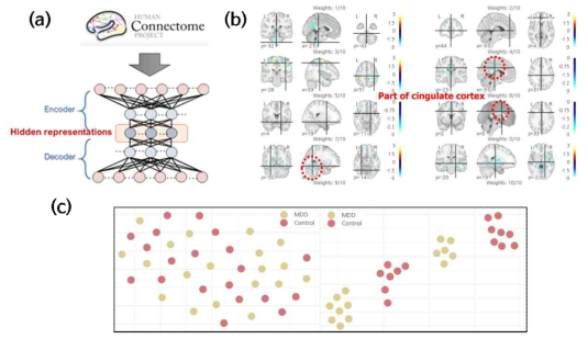 (a) HCP 데이터를 활용한 오토인코더 학습 개념도 (b) 딥뉴럴네트워크가 학습한 모델의 가중치 특징 추출 맵 (Weight feature map) 결과 (c) 그림. 오토인코더의 학습 결과 추출된 latent represemtatopn을 활용한 t-SNE 맵 (MDD : 우울증 환자군, Control : 정상인)