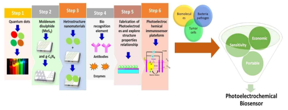 Conceptualization view of photoelectrochemical biosensor for point of care testing