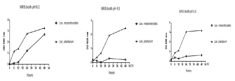 pH변화에 따른 김치미생물 Leu. mesenteroides와 Lac. plantarum의 pH와 성장 비교