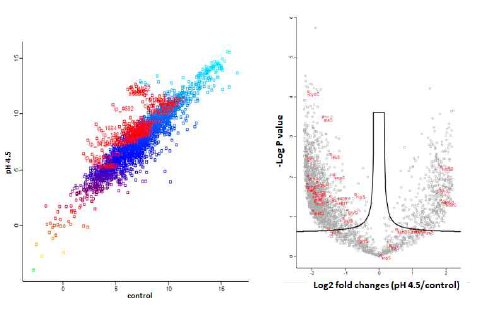 scatter plot 과 volcano plot을 이용한 유전자 발현 차이 분석