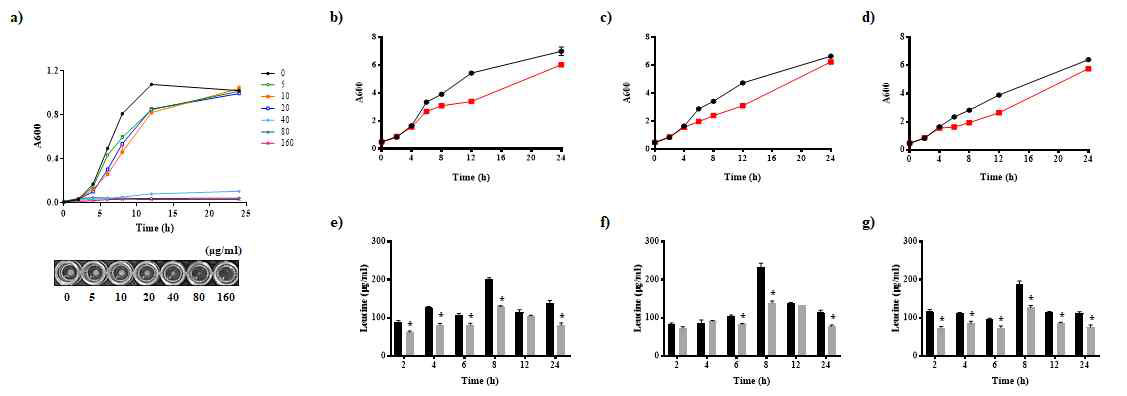 pH변화와 transport inhibitor 농도에 따른 Lac. plantarum 세포내 leucine농도와 미생물 성장 a) transport inhibitor 농도에 따른 미생물 성장, pH 6.2 (b,e), pH 5.5 (c,f), and pH 5.0 (d,g)