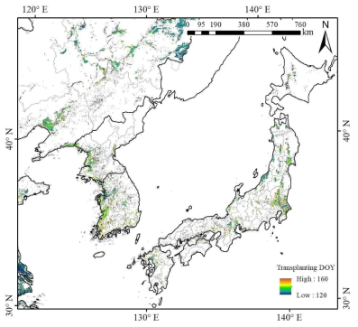 GOCI와 MODIS 위성영상을 이용하여 추정된 벼 재배지역과 이앙시기(생육 시작시기) 지도 (2013년)