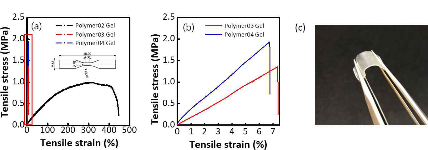 젤의 stress-strain 곡선 그래프 (a) strain ≤ 500%, (b) strain 을 0-7%의 범위로 축소. (c) Polymer02 젤 샘플을 집게로 구부린 사진