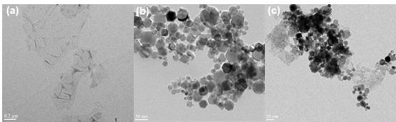 Representative TEM images of (a) rGO, (b) ZF, and (c) LGZF