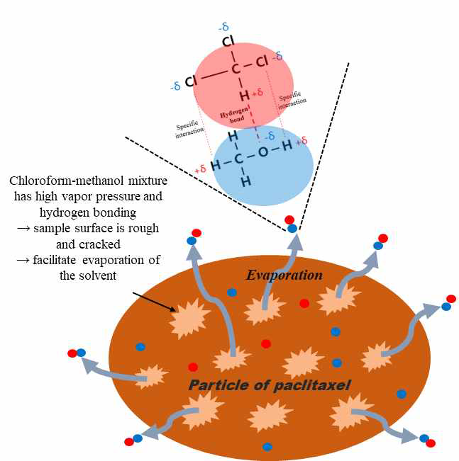 A schematic diagram of the removal mechanism of residual solvents from a sample pre-treated with methanol