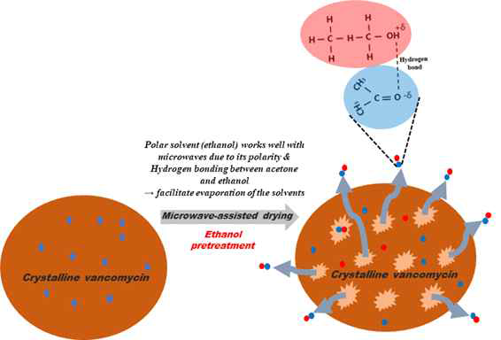 A schematic diagram of the removal mechanism of residual solvents from sample pre-treated with ethanol