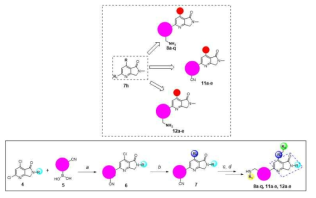 Design and synthesis of pyrrolopyridines 8a-q, 11a-e and 12a-e