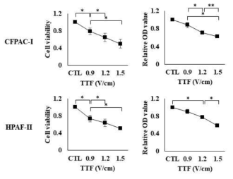 전압에 따른 전기장의 효과.(왼쪽: cell counting, 오른쪽: MTT assay)