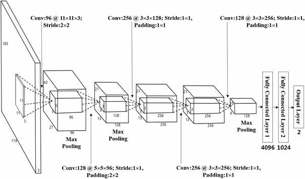 Customized Alexnet structure