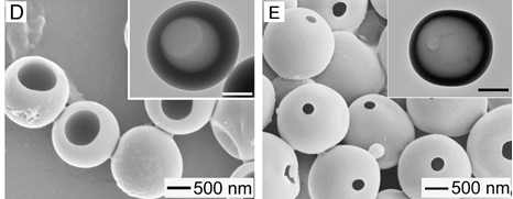 용매 변화에 따른 중공입자 구조 변화: D) 벤젠 50μL, E) 다이클로로메탄 50μL