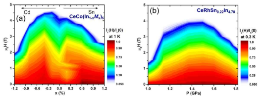 (a) In 자리에 Sn 혹은 Cd가 도핑된 CeCoIn5와 (b) In 자리에 Sn이 4.4% 도핑된 CeRhIn5의 자기장에 따른 임계전류(Ic)의 변화. Sn이 도핑된 CeRhIn5에서 압력에 의해 변화하는 임계전류특성은 압력에 의해 변화하는 초전도특성과 유사한 관계를 보이지만, Sn혹은 Cd가 도핑된 CeCoIn5의 경우 임계 온도와 다르게 약간의 도핑이 된 곳에서 자기장에 대한 우수한 임계전류특성을 보인다. 이는 In 자리에 대체된 Sn 및 Cd이 전자구조에 변화뿐만 아니라 불순물로 작용한다는 것을 의미한다