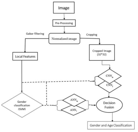 나이 성별 분류를 위한 Hybrid Neural Network