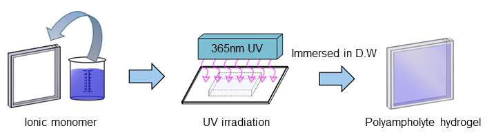 UV를 이용한 PA 하이드로겔의 제조방법