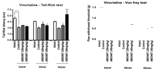 Vincristine 유도 CIPN 모델에서 oral로 투여한 A803467이 tail-flick과 von-frey통증 threshold에 미치는 영향