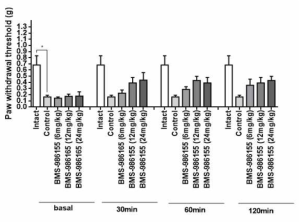 Vincristine 유도 CIPN 모델에서 oral로 투여한 BMS-986165가 von-frey통증 threshold에 미치는 영향