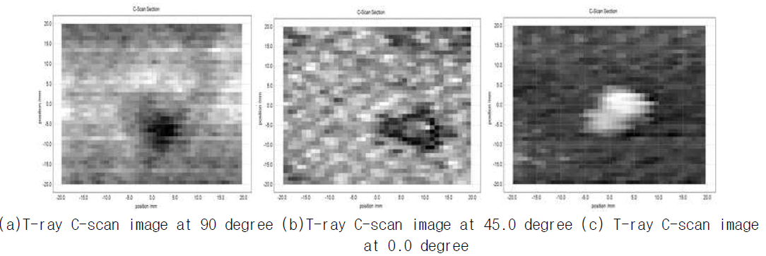 T-ray scan images on the GFRP skin honeycomb sandwich panels