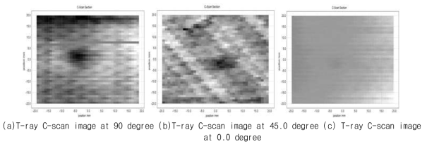 T-ray scan images on the CFRP skin honeycomb sandwich panels