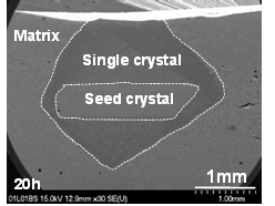 SEM micrograph of 0.95(K0.5Na0.5) NbO3-0.05(Bi0.5Na0.5Zr0.85Sn0.15)O3 single crystal