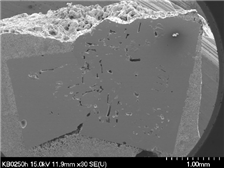 SEM micrograph of 0.99(K0.5Na0.5)NbO3-0.01(Bi0.5Na0.5)(Zr0.85Sn0.15)O3 with addition of 0.2 mol % Li2CO3 and 0.2 mol % Bi2O3 sample sintered at 1150°C for 50 h