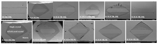 SEM micrographs of 0.95(K0.5Na0.5)NbO3-0.05(Bi0.5Na0.5)(Zr0.85Sn0.15)O3 samples sintered at 1150°C. The numbers in the micrographs refer to the amount of added Li2CO3 and Bi2O3 in mol %, and the sintering time in h