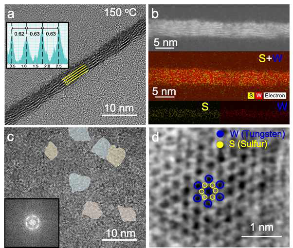 1T구조의 WS2 의 HR-TEM분석. a)FIB를 이용한 단면 이미지. b) EELS 단면 맵핑 이미지. c) In-plane 이미지. d) ABF 이미지 (파란색:W, 노란색:S)