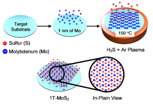 1T형상의 MoS2의 합성 공정과정