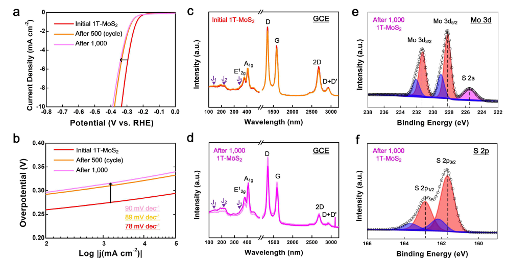 안정성 평가. a) 초기상태와 500, 1,000사이클 후의 polarization curve 비교, b) (a)기반의 Tafel 그래프, c) 초기상태의 1T-MoS2 on GCE 라만 결과, d) 1,000사이클 이후의 라만 결과, e) 초기 상태의 XPS 결과 (Mo 3d), f) 1,000사이클 이후의 XPS 결과 (Mo 3d)
