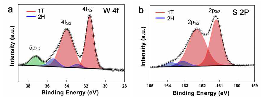 1T구조의 WS2 의 XPS 분석. a) W 4f. b) S 2p