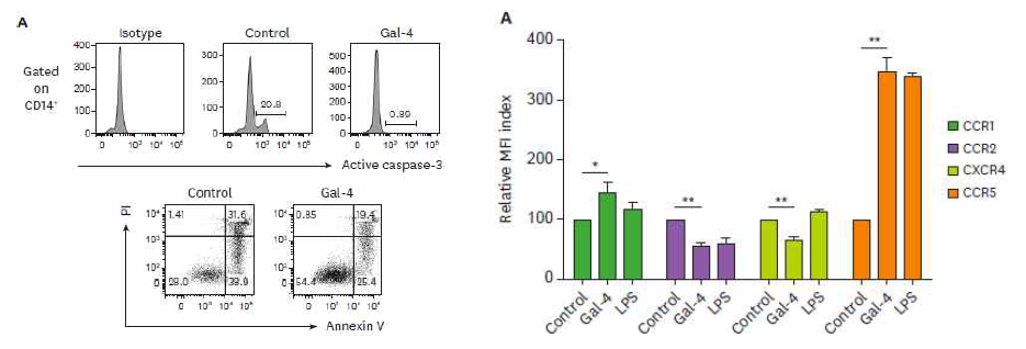Gal-4에 의한 단핵구의 apoptosis 감소 및 chemokine receptor 발현변화