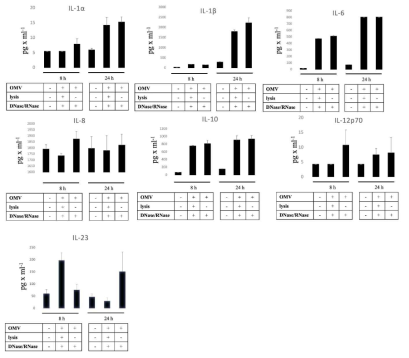 치주염을 유발하는 Aggregatibacter actinomycetemcomitans의 EV를 처리한 human macrophage-like cells (U937)의 사이토카인 분비를 사이토카인어레이를 사용하여 조사함 (Han. et al., 2019)