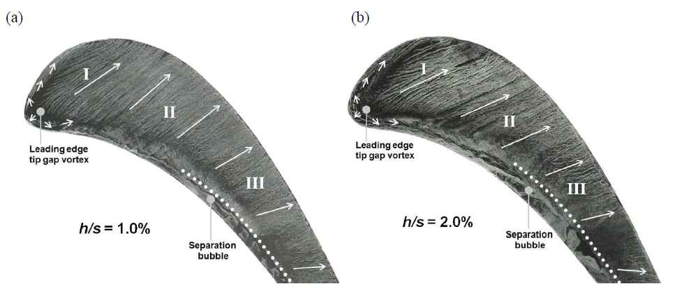 Steady-state tip surface flow visualizations for h/s = 1.0% and 2.0%