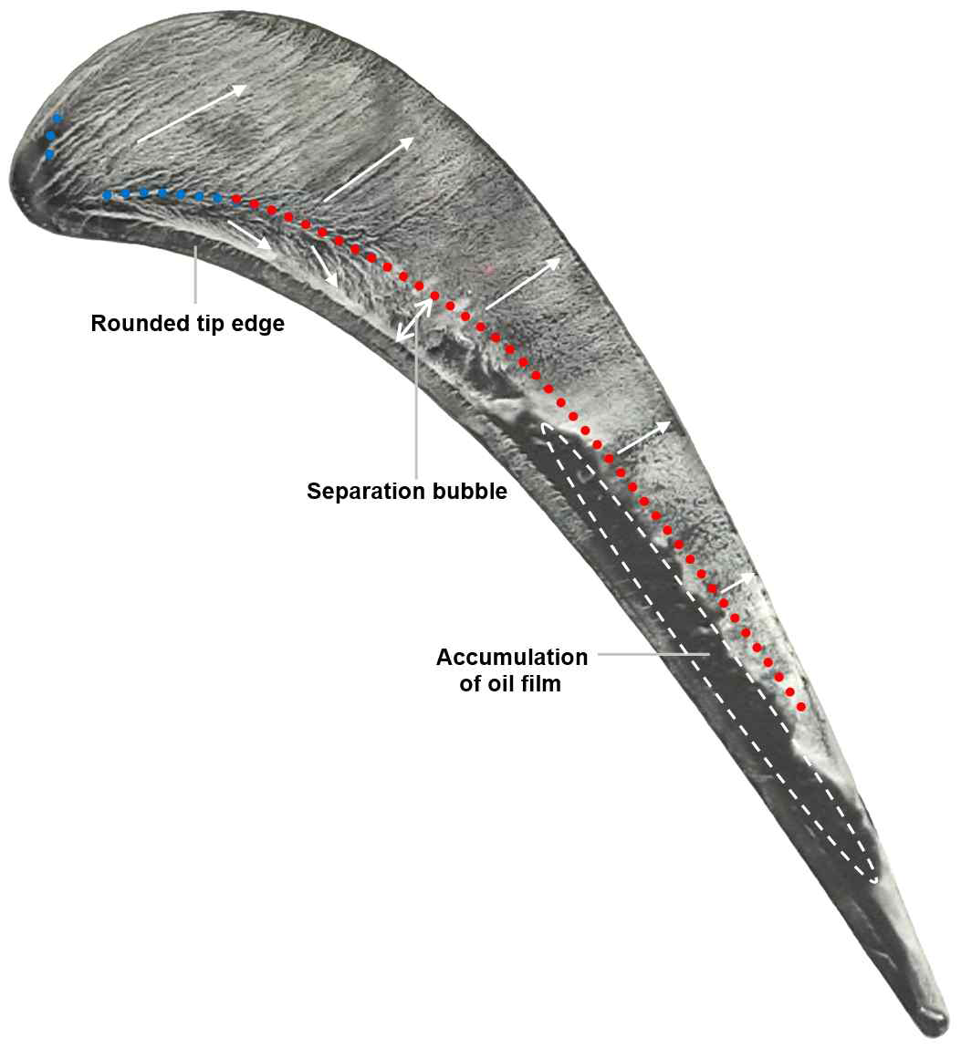 Flow on rounded tip for h/s = 2.0%