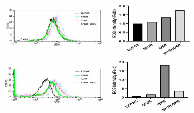 BxPC3, CFPAC 췌장암세포주 및 다제 항암제내성 세포주에서 FACS를 이용한 ROS 측정