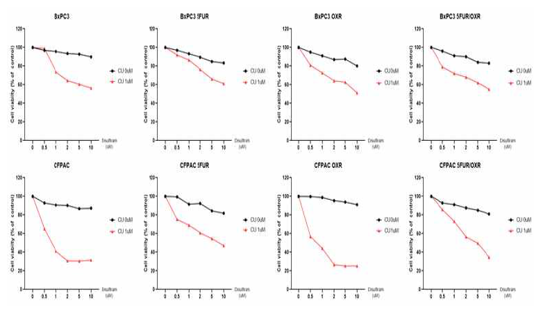 BxPC3, CFPAC 췌장암세포주 및 다제항암제내성 세포주에서 Disulfiram/CU2+ 으로 인한 NRF2 억제 후 cell viability