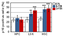 Effects of TBI (S- or D-) on level of p16 in MSCs