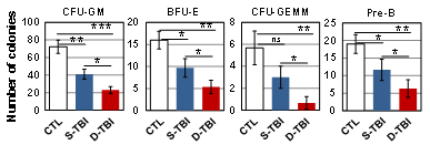 Effect of TBI on colony forming potentials of HPCs