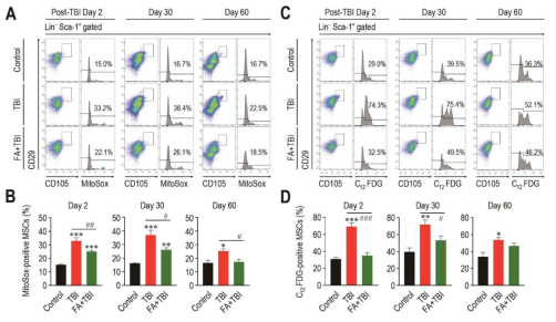 Effects of TBI or in combination with FA on mitochondrial ROS level (A, B) and senescence of MSCs (C, D) in mice