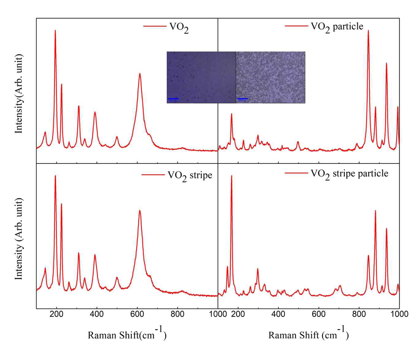 다양한 VO2의 Raman 측정 결과