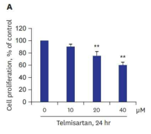 Telmisartan은 rat VSMCs의 proliferation을 억제함