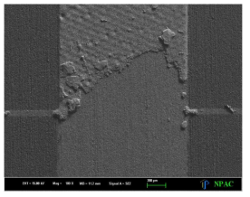 액체금속에 의해 부식된 실버전극의 SEM 이미지