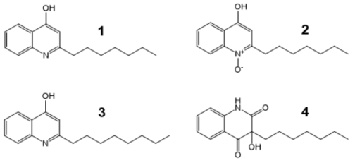 Chemical structures of compounds 1－4. 2-n-heptyl-4-hydroxyquinoline (1), 2-n-heptyl-4-hydroxyquinoline-N-oxide (2), 2-n-octyl-4-hydroxyquinoline (3), 3-n-heptyl-3- hydroxy-1,2,3,4-tetrahydroquinoline-2,4-dione (4)