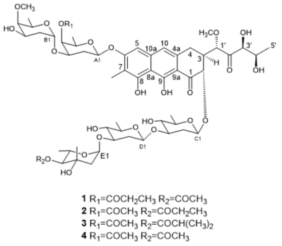 The structures of compounds 1－4: chromomycin A9 (1), Ap (2), A2 (3), and A3 (4)