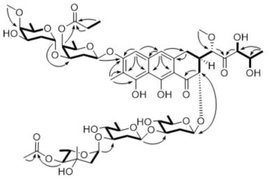 Key correlations of COSY (bold) and HMBC (arrows) experiments for chromomycin A9 (1)