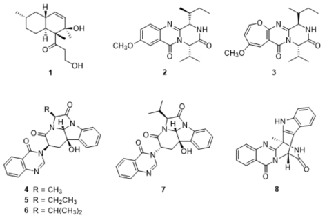 Structures of compounds 1–8 from Aspergillus sp. F452. Aspermytin A (1), versicomide A (2), versicoloid A (3), isochaetominines A–C (4–6), 14-epi-isochaetominine C (7), fumiquinazoline K (8)