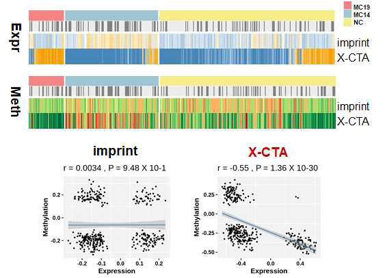 methylation 관련성확인