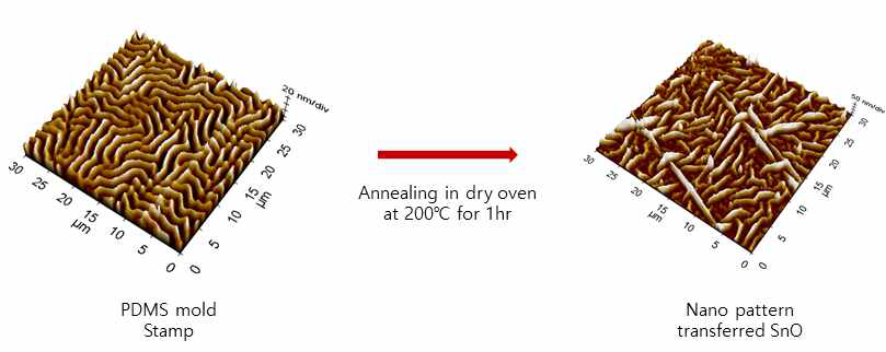 열적 임프린팅 리소그래피 공정을 통한 졸갤 산화막 패턴의 AFM 이미지