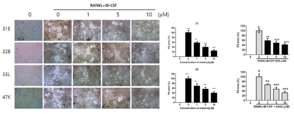 Bone resorption assay